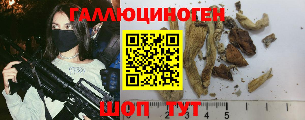 Галлюциногенные грибы Psilocybe  Вход с VPN  Северобайкальск  Псилоцибиновые грибы мухоморы 